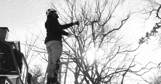 man inspecting a tree in winter