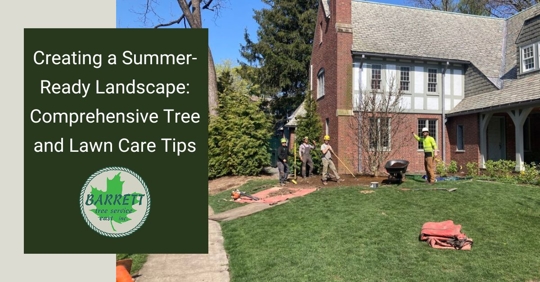 workers doing lawn work in summer