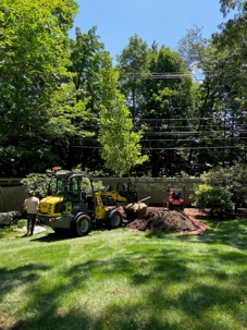 planting a tree with machinery