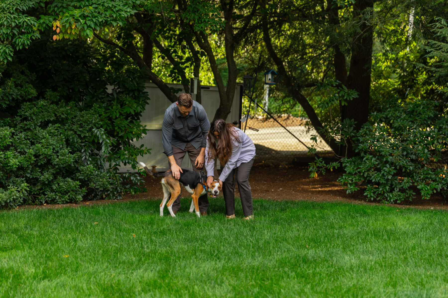 barrett-tree-service-family-walking-dog-healthy-lawn-trees-shrubs-day2-260