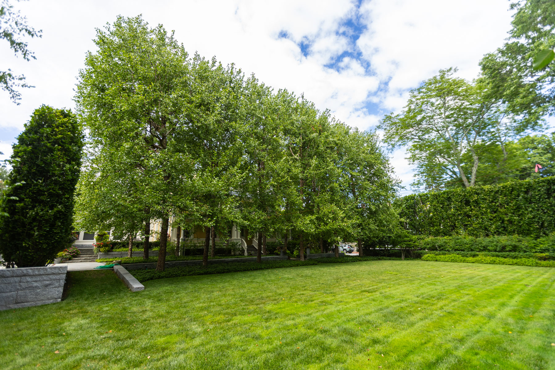 barrett-tree-service-healthy-trees-manicured-lawn-78