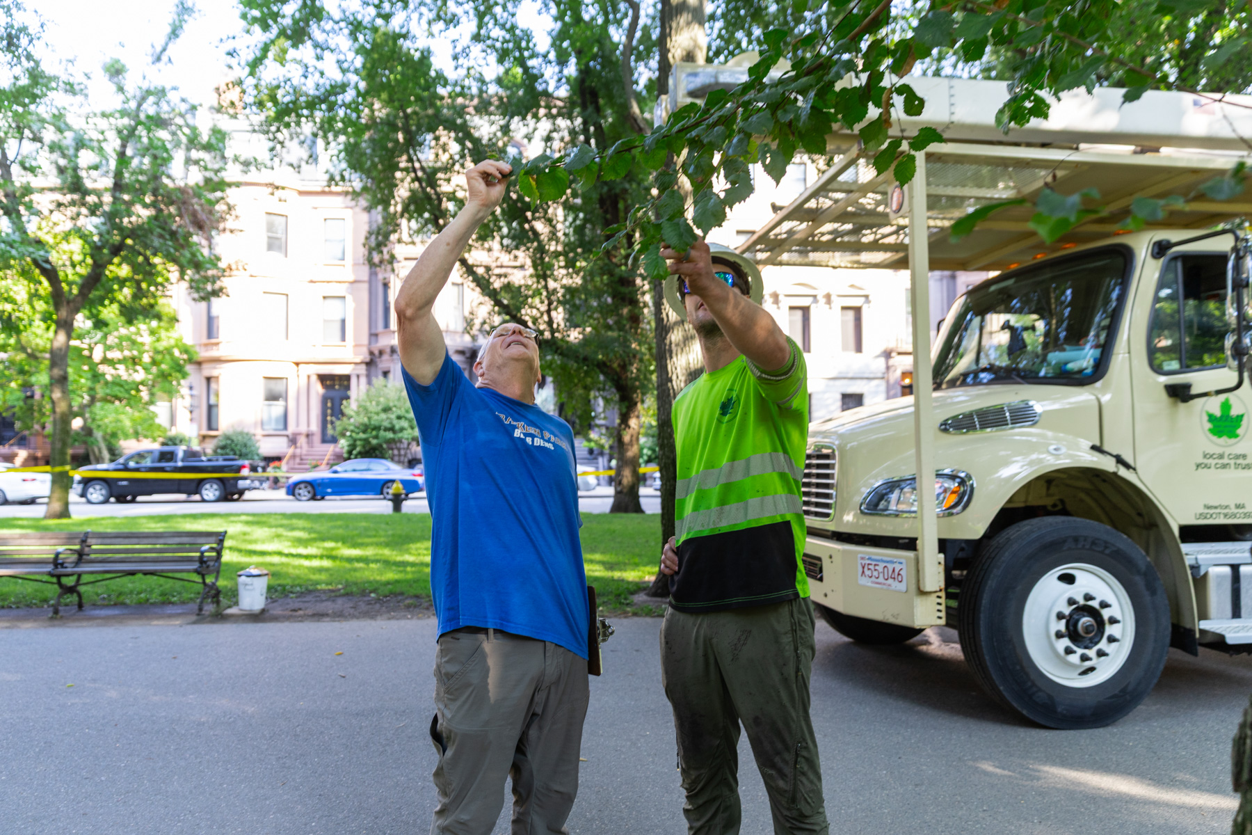 barrett-tree-service-municipality-director-tree-crew-leader-evaluating-branches-day3-051