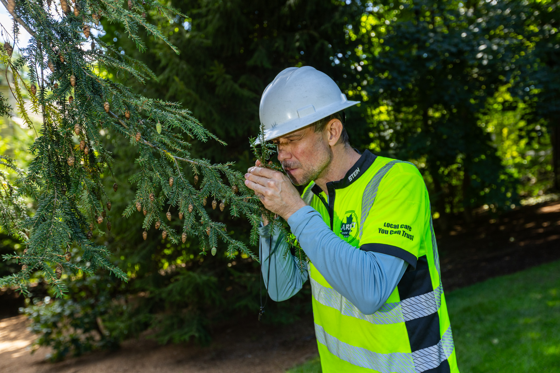 barrett-tree-service-plant-health-care-technician-tree-insect-disease-inspection-day2-105