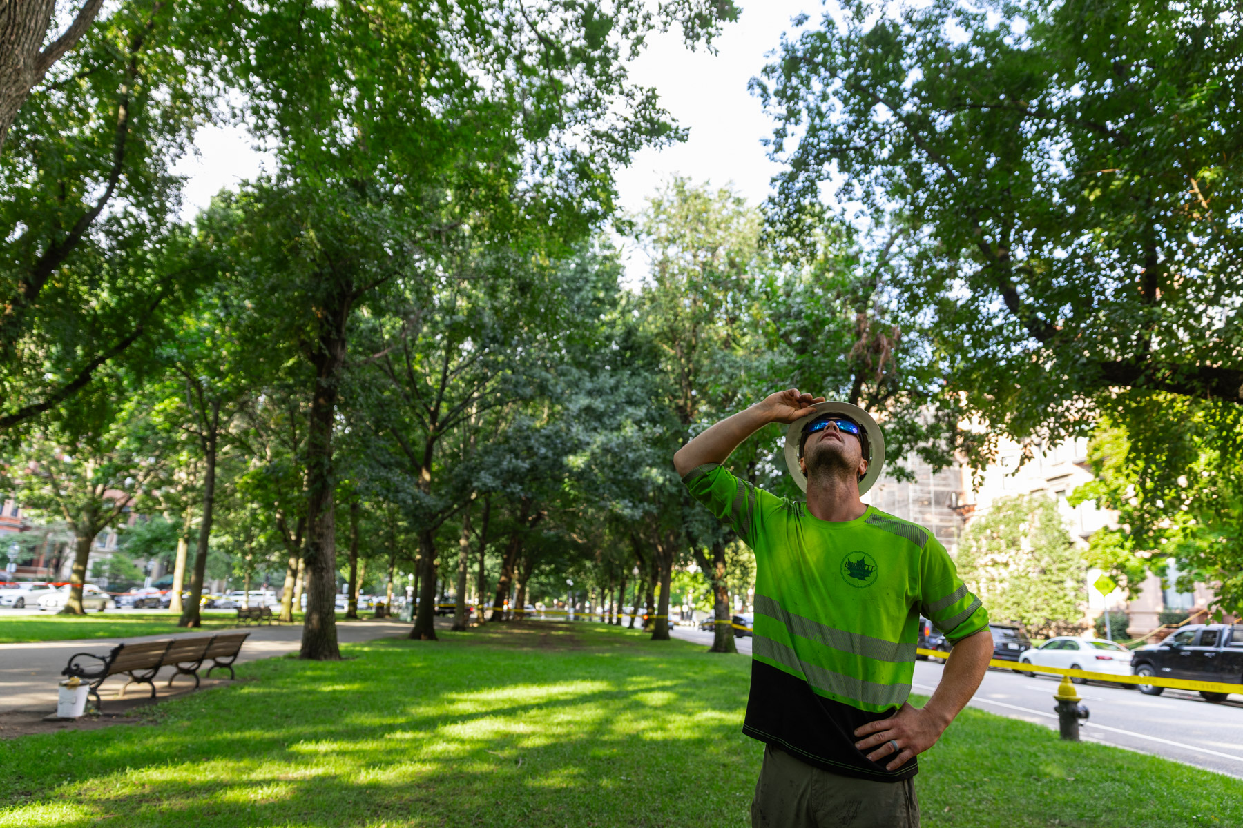 barrett-tree-service-tree-crew-leader-evaluating-tree-canopy-conditions-day3-059