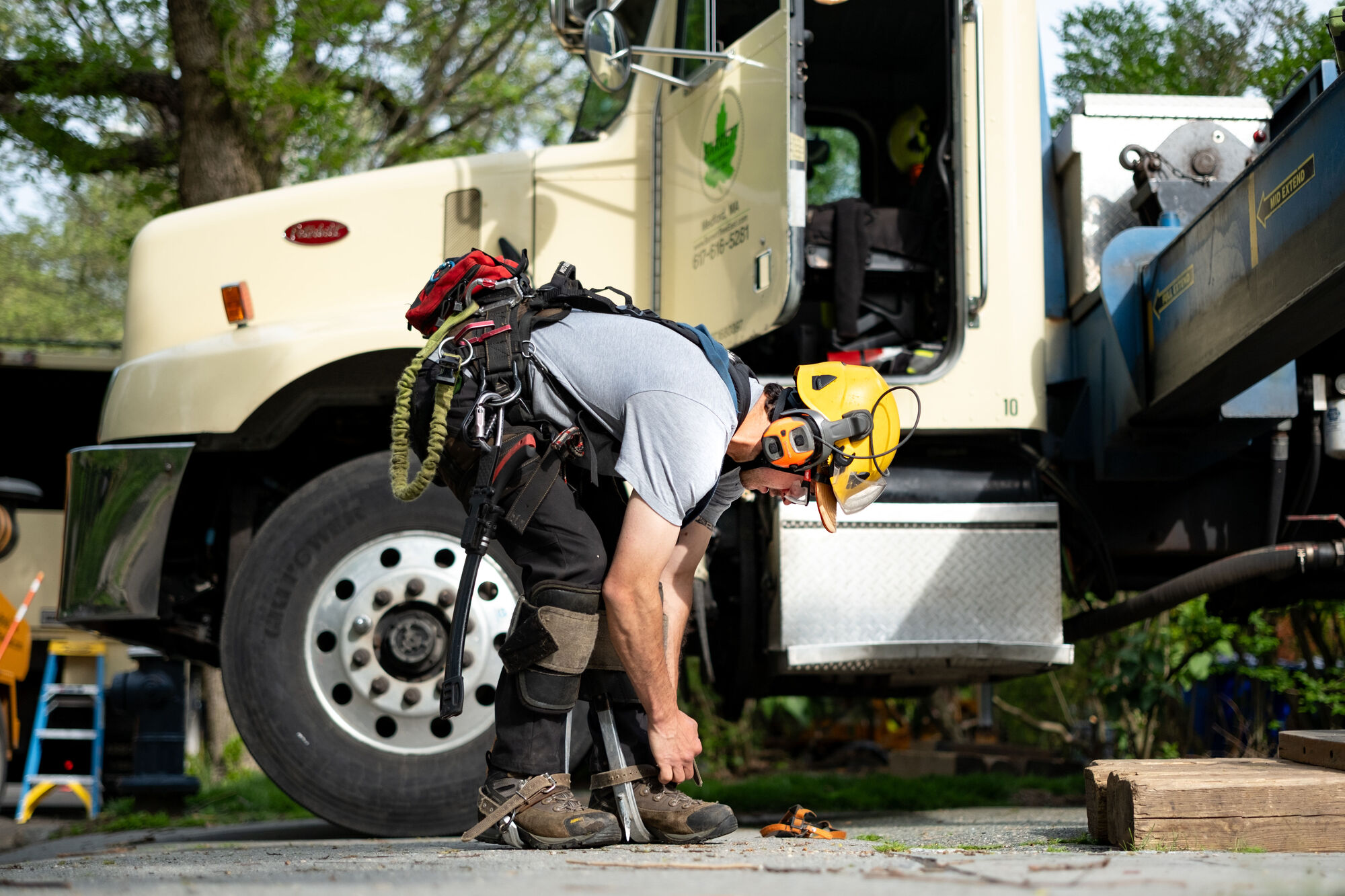tree tech gearing up to start work