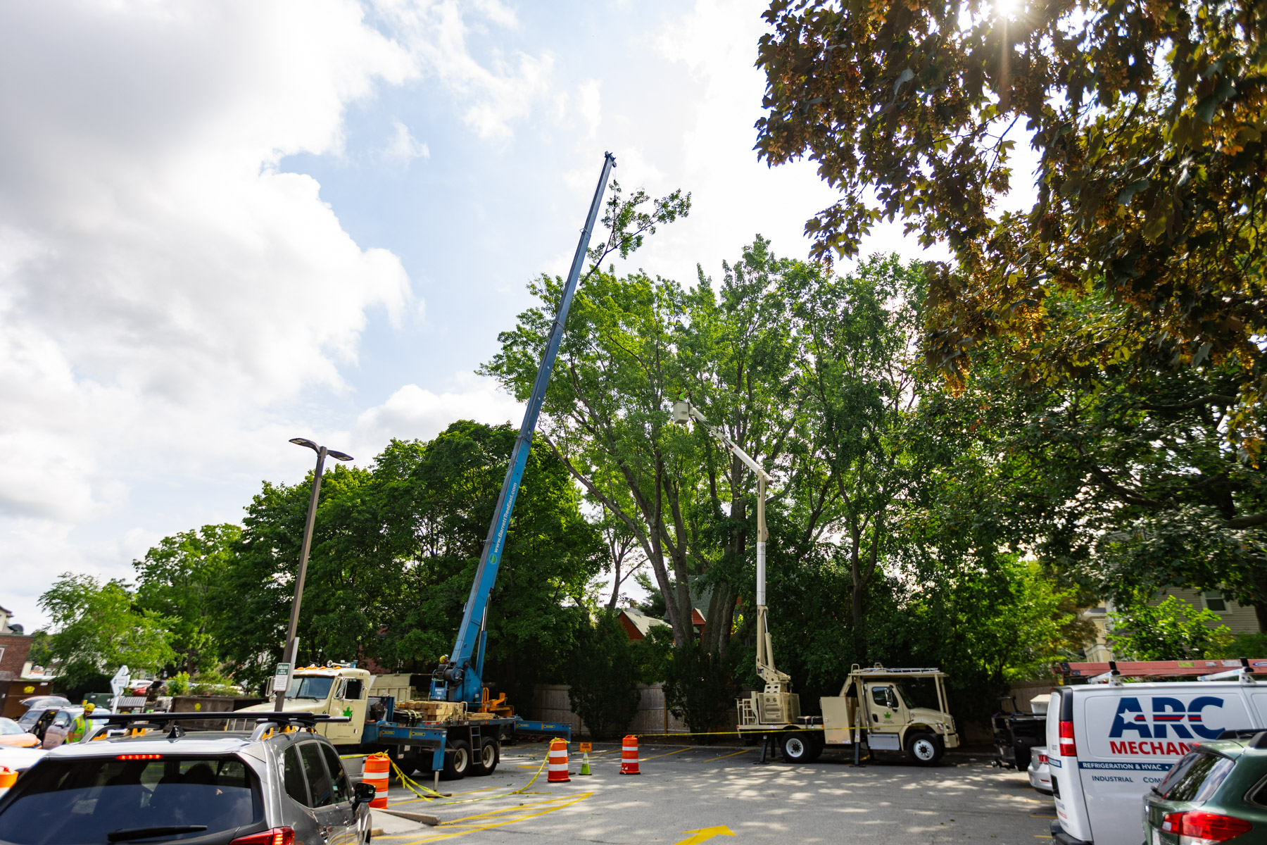 barrett-tree-service-blue-crane-assisted-tree-service-operation-day3-086