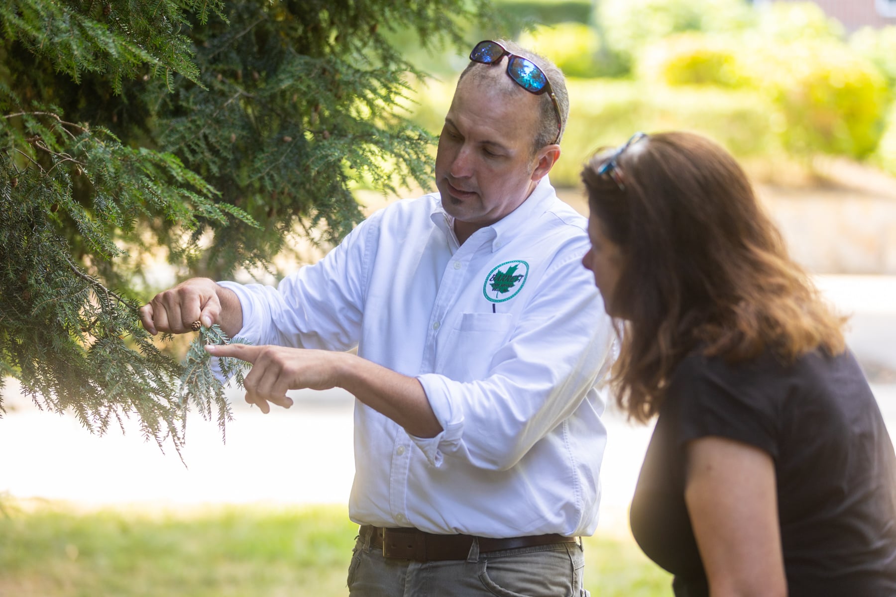 barrett-tree-service-certified-arborist-customer-property-tree-shrub-inspection-day2-062