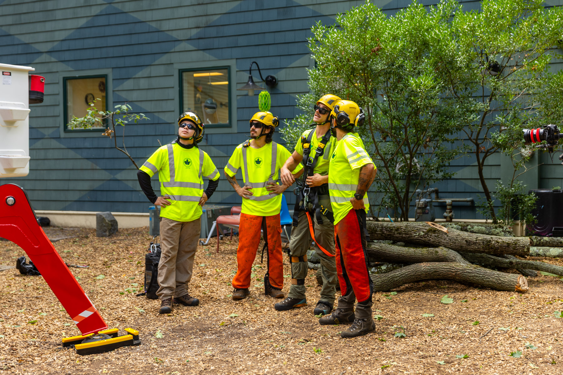 barrett-tree-service-crew-tree-removal-planning-13