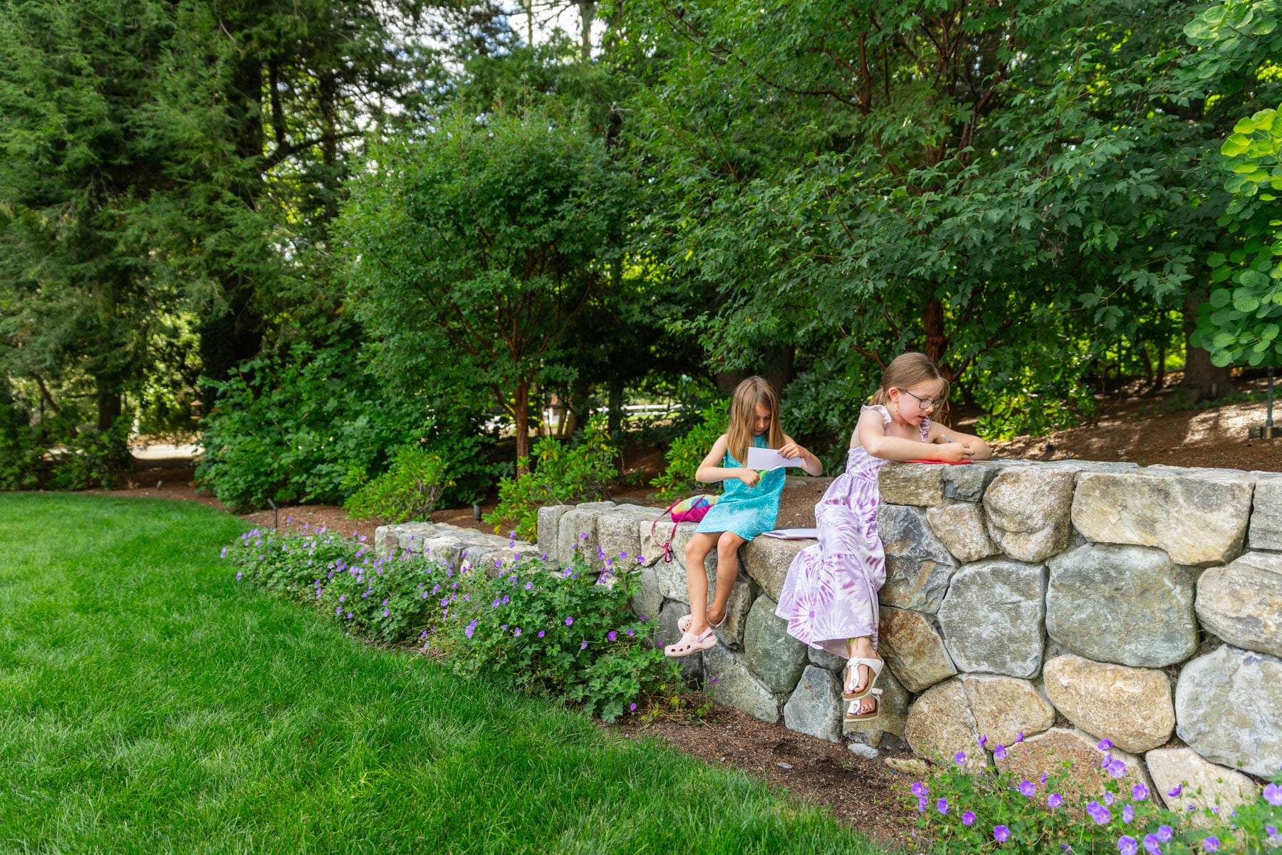 barrett-tree-service-family-children-dog-playing-healthy-lawn-landscape-day2-216