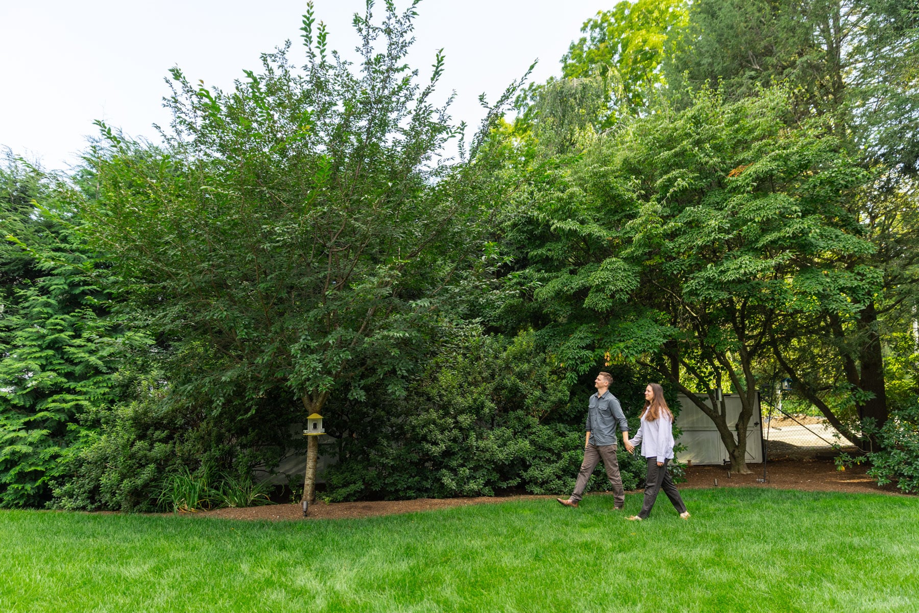 barrett-tree-service-family-walking-dog-healthy-lawn-trees-shrubs-day2-261