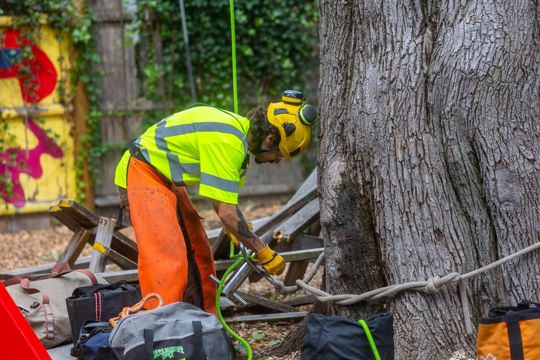 barrett-tree-service-groundsman-rigging-rope-tree-removal-50