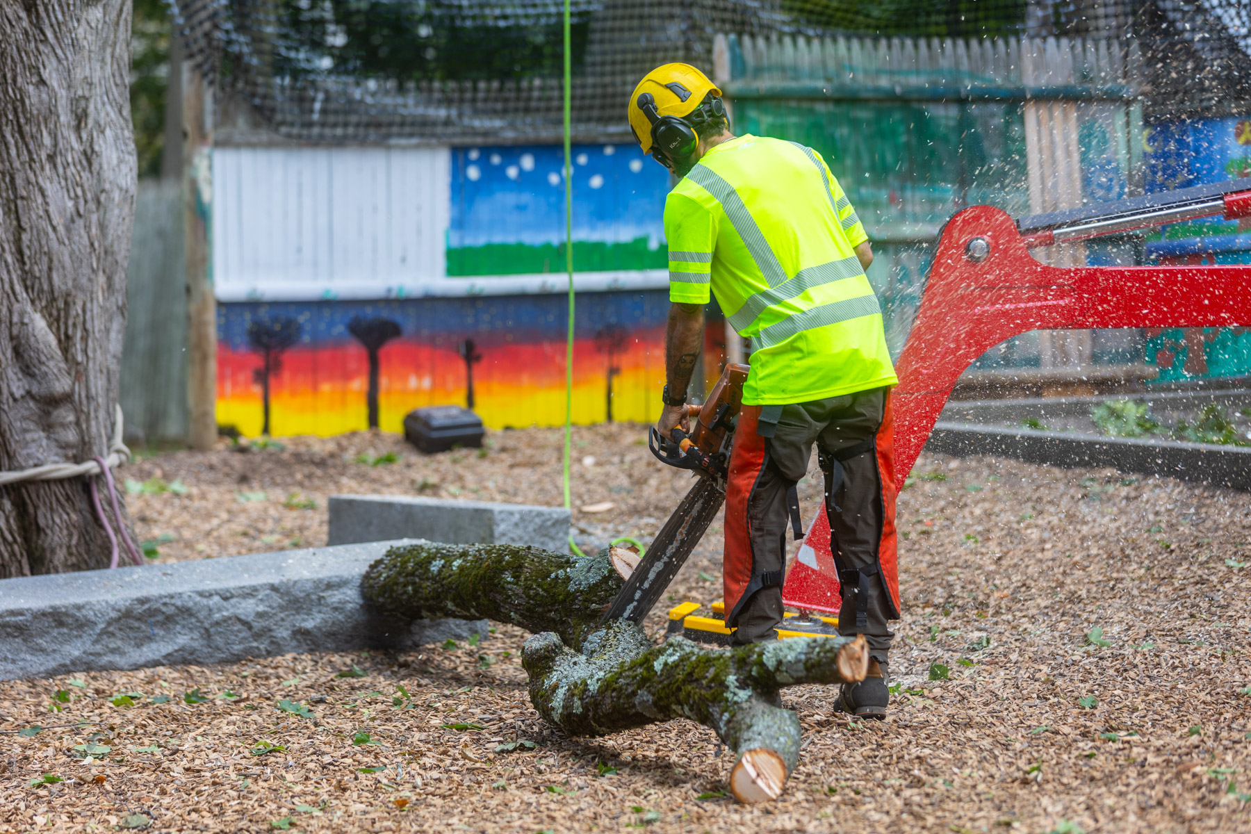 barrett-tree-service-groundsman-tree-removal-debris-cleanup-02