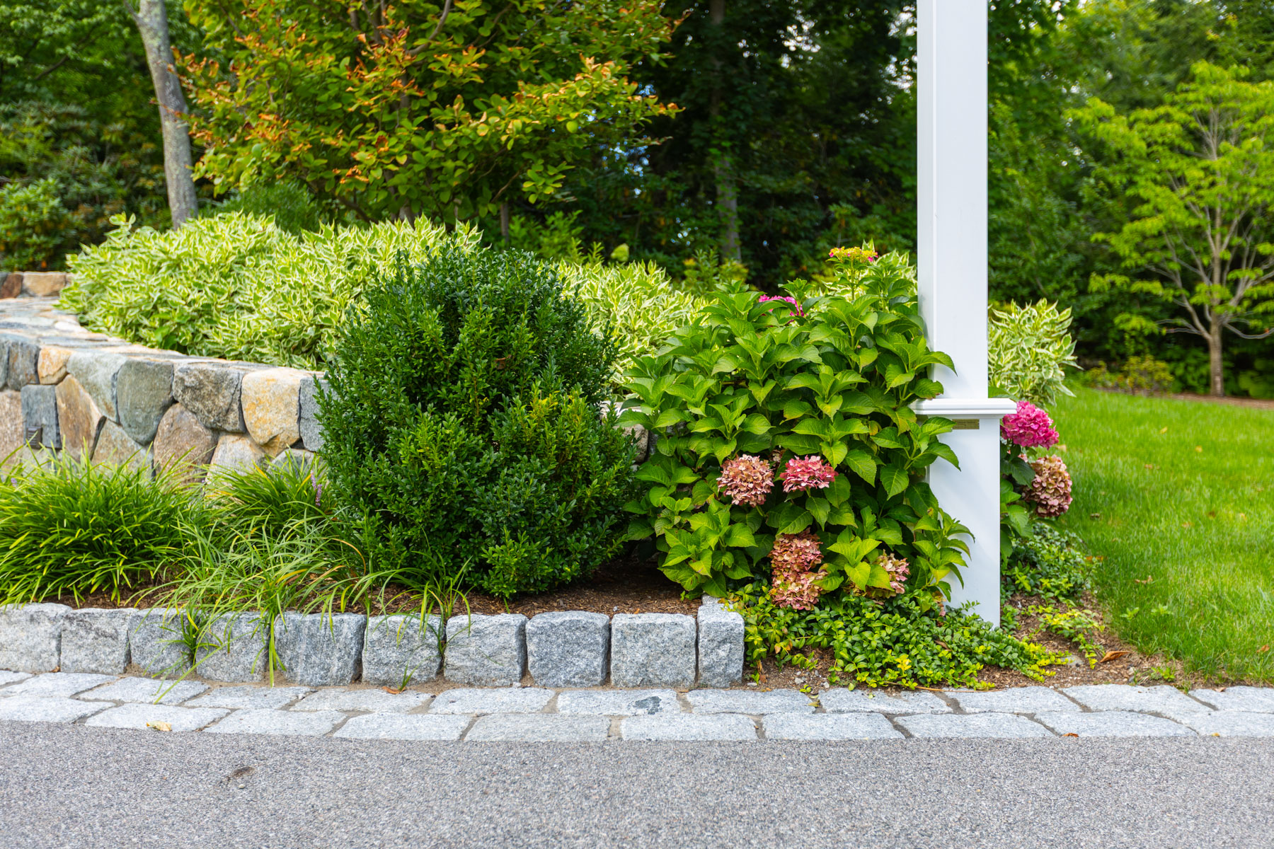 barrett-tree-service-healthy-lawn-trees-shrubs-landscape-beauty-day2-183