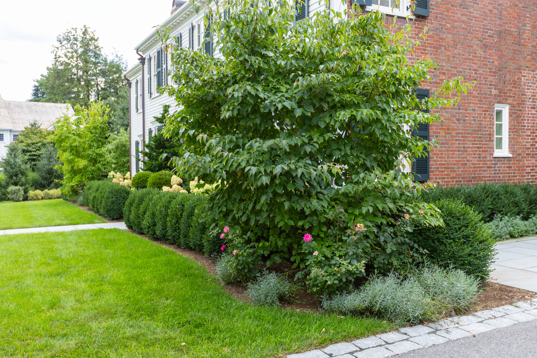 barrett-tree-service-healthy-lawn-trees-shrubs-landscape-beauty-day2-196