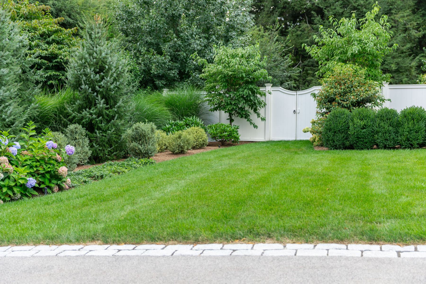 barrett-tree-service-healthy-lawn-trees-shrubs-landscape-beauty-day2-203