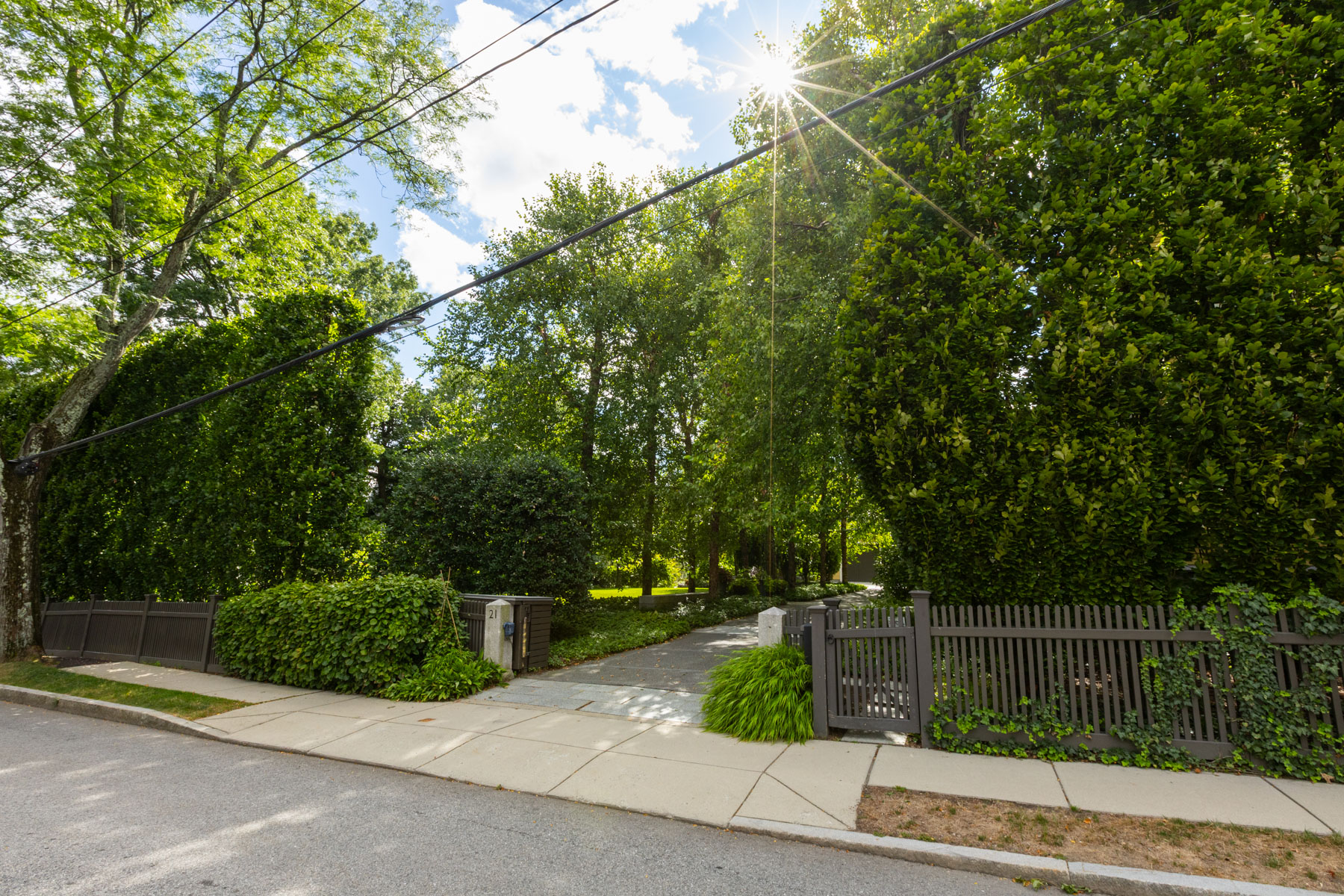 barrett-tree-service-healthy-maintained-trees-shrubs-property-89