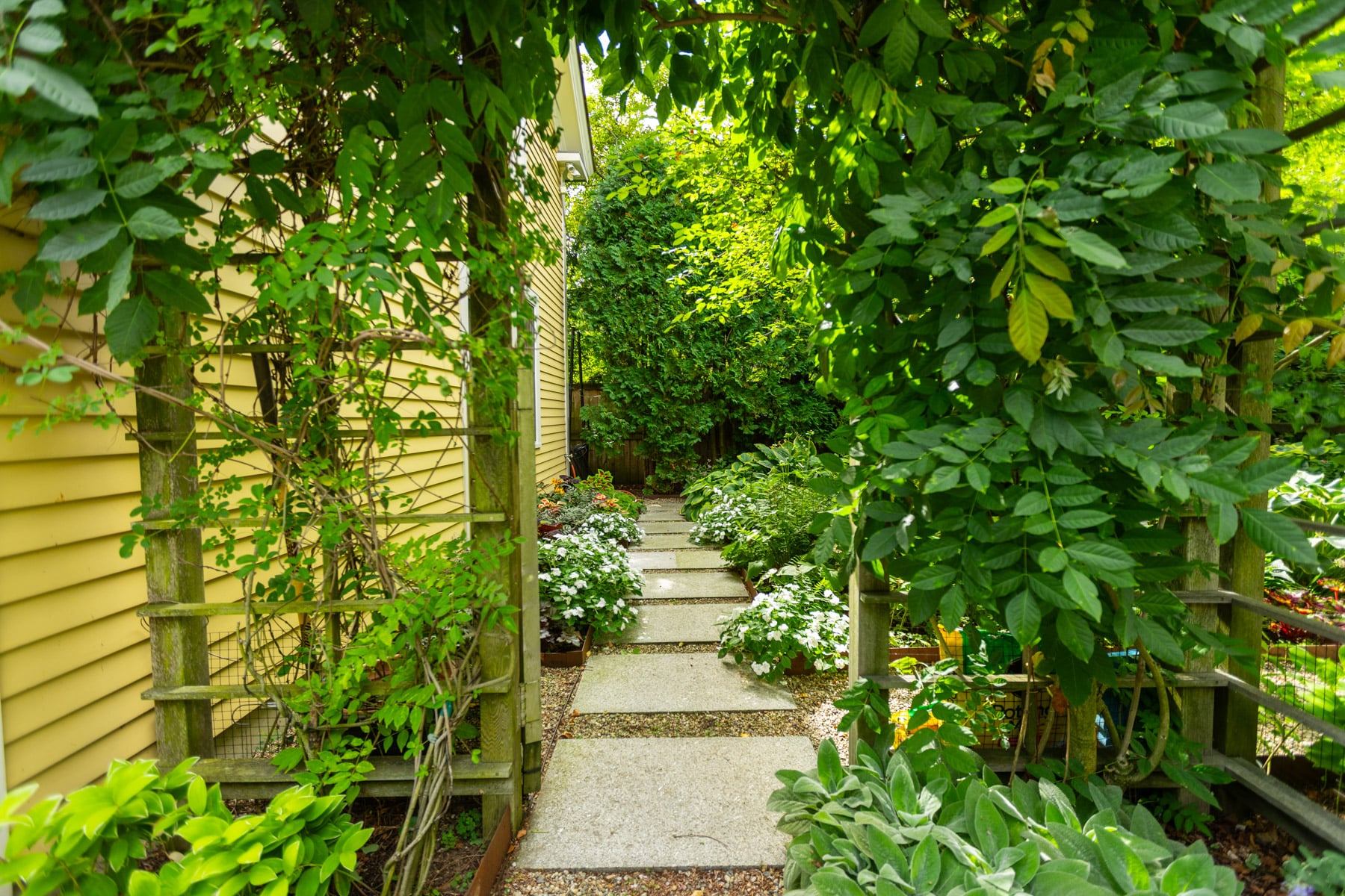 barrett-tree-service-healthy-pruned-shrubs-garden-path-86