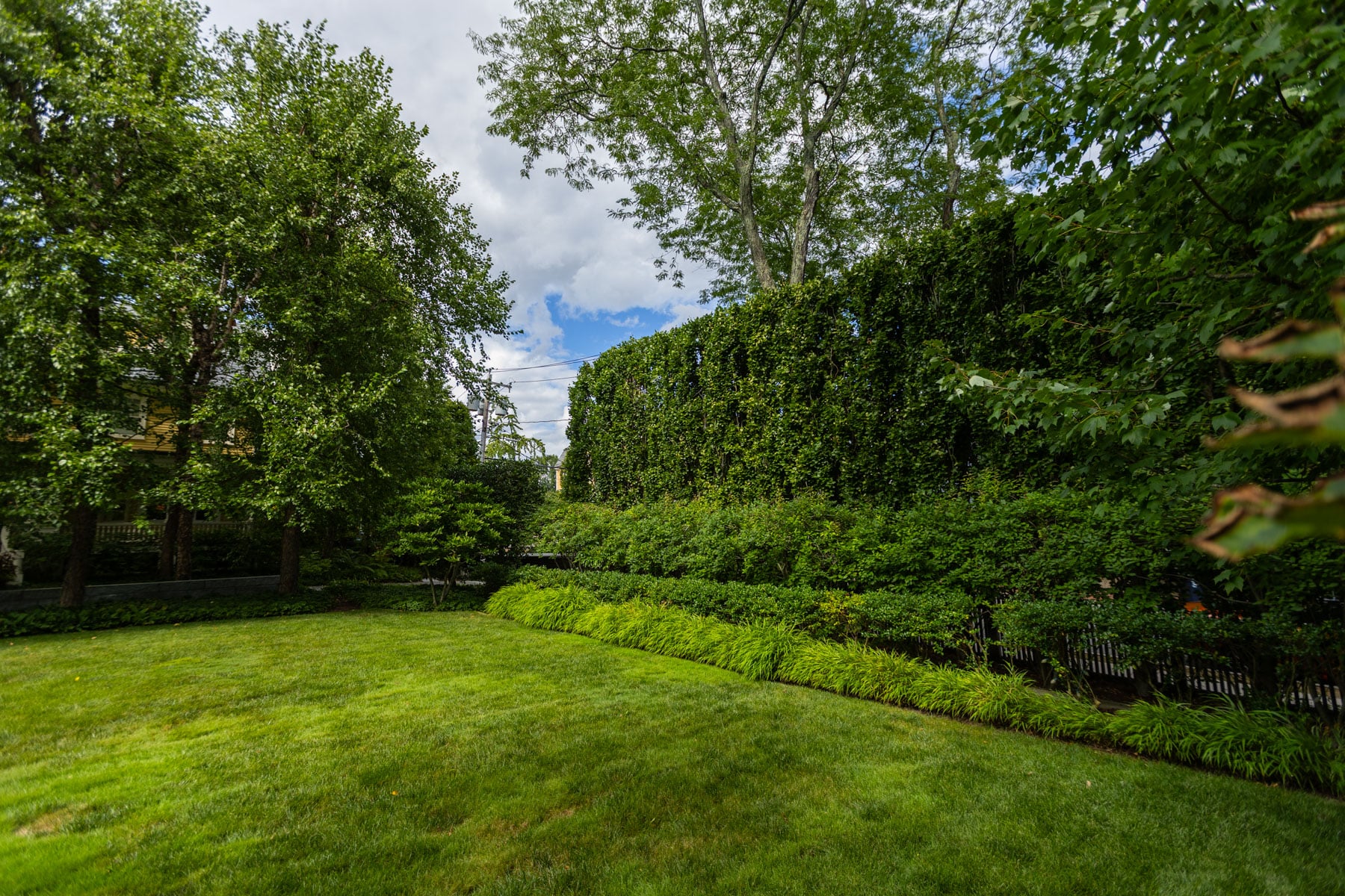 lush green lawn and pruned shrubs