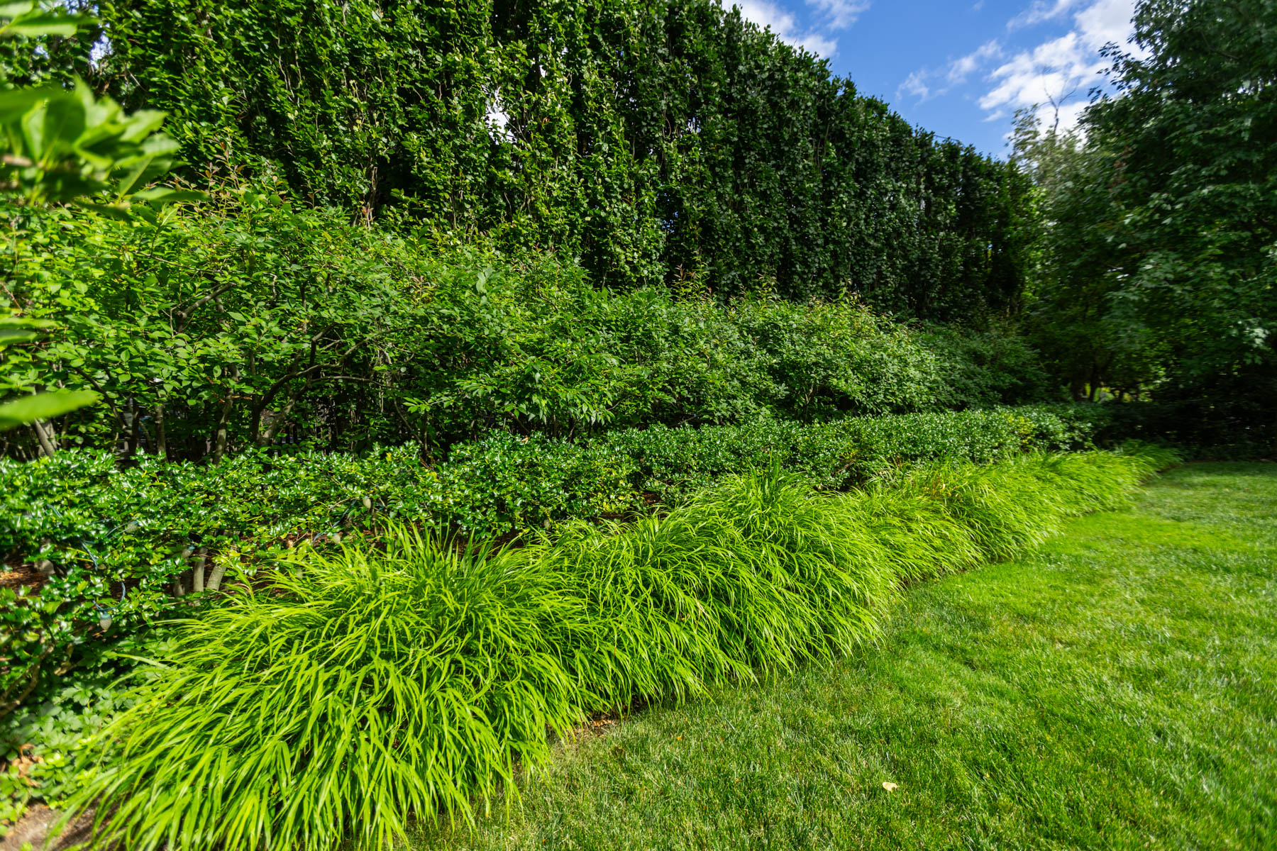 barrett-tree-service-healthy-shrubs-ornamental-grasses-85