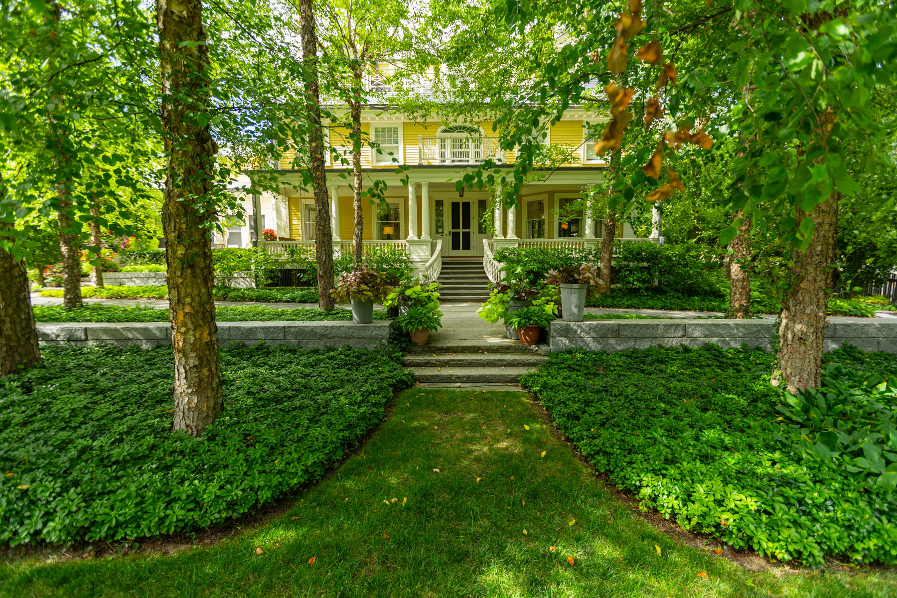 barrett-tree-service-healthy-trees-shrubs-front-yard-83
