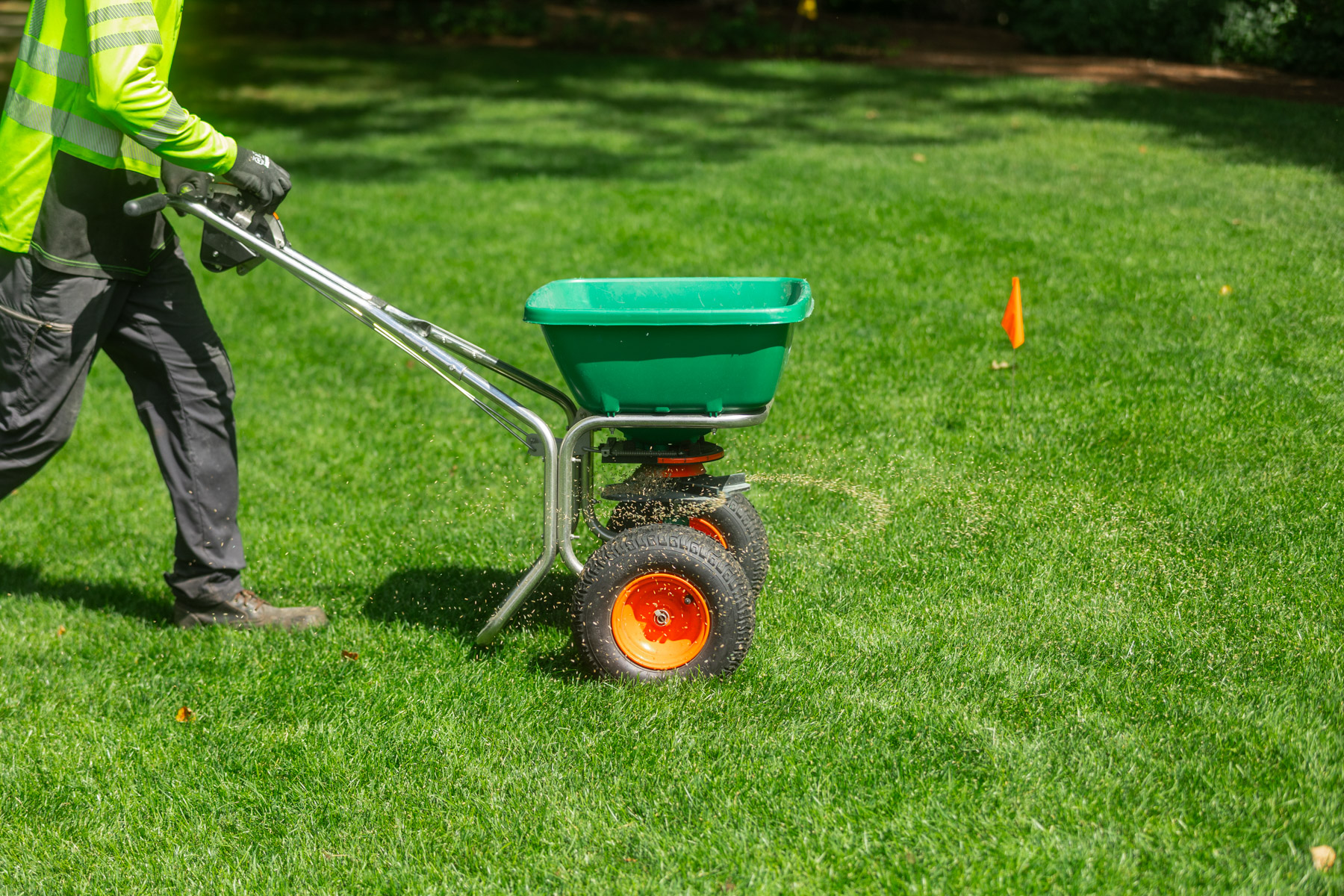 barrett-tree-service-lawn-care-technician-push-spreader-lawn-fertilization-day2-178