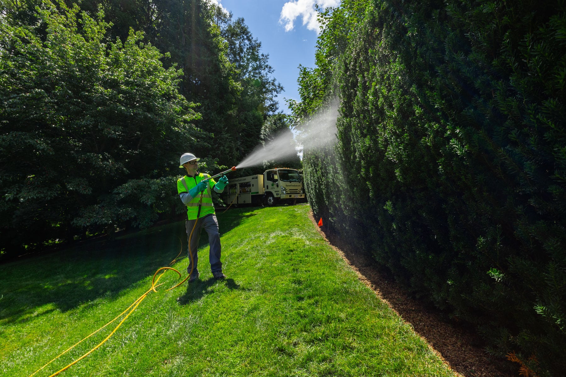 barrett-tree-service-plant-health-care-technician-spraying-trees-shrubs-insects-disease-day2-128