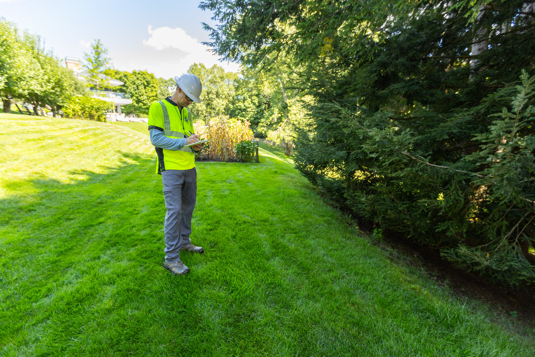 barrett-tree-service-plant-health-care-technician-tree-insect-disease-inspection-day2-106