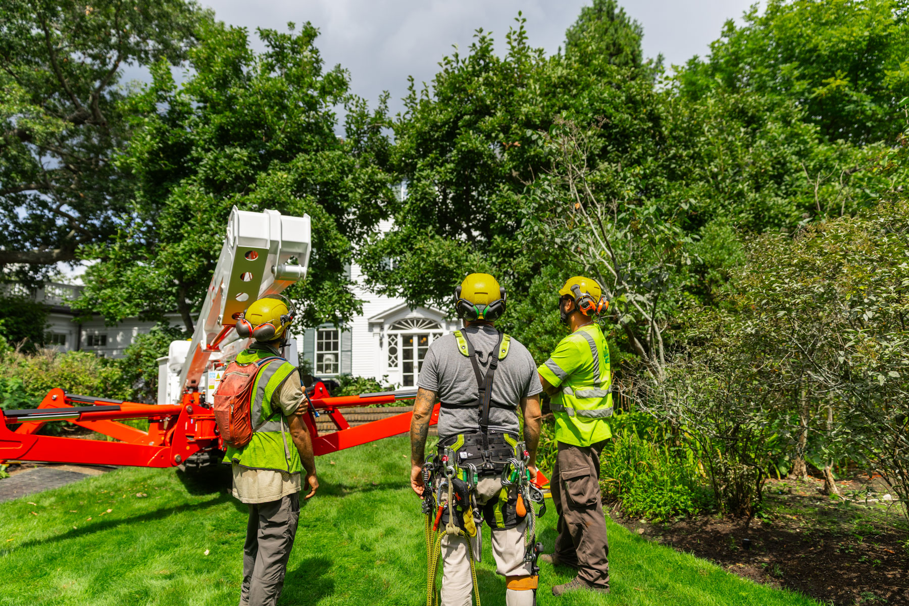 barrett-tree-service-tree-service-crew-discussion-near-spider-lift-day3-098