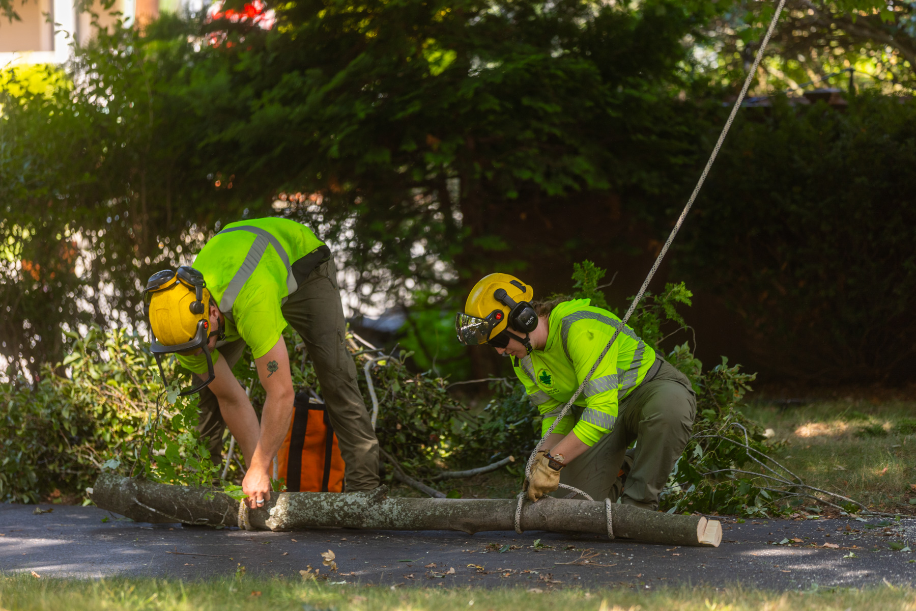 barrett-tree-service-tree-service-groundsmen-removing-rigging-rope-lowered-limb-day2-091