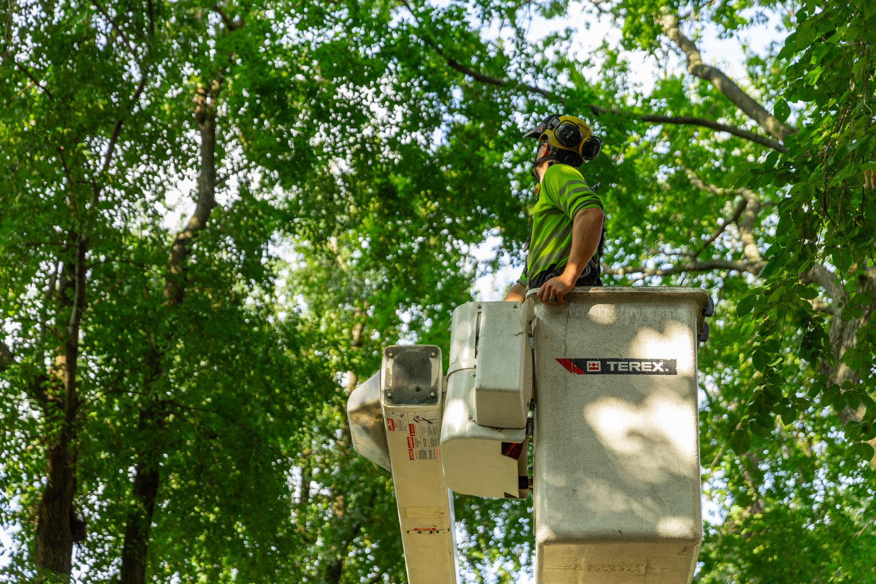 barrett-tree-service-tree-service-worker-bucket-truck-tree-pruning-day3-063